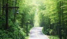 竹林小区新闻爆料最新情况,最新进展及影响揭秘