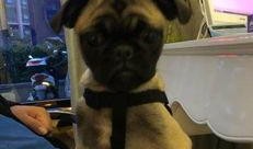 巴哥爆料最新人物图片,神秘面容引网友热议