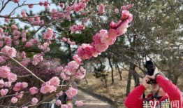 十梅庵今日最新爆料,今日最新爆料揭示惊人内幕