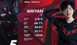 爆料打假人视频大全最新,打假人视频大全深度解析