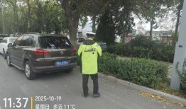 东方交警最新爆料新闻,多起交通违法行为引发社会关注