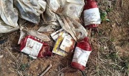 番薯爆料流浪者视频,流浪者生活现状深度揭秘