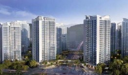 澳门新街坊爆料视频,揭秘社区生活新面貌