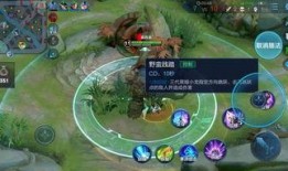 王者今晚还会爆料吗最新,今晚揭秘神秘新内容！