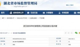 武汉市新闻爆料平台官网,聚焦城市脉搏，传递市民声音