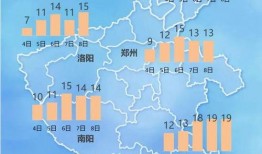 河南时事爆料最新消息新闻,聚焦民生热点，揭秘社会现象