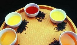 茶叶爆料视频大全集最新,揭秘茶叶界的秘密与传奇