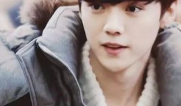 爆料鹿晗炒作事件视频播放,真相与舆论的较量