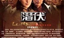 潜伏28集在线观看,揭秘神秘潜伏者，在线观看惊心动魄