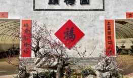 十梅庵今日最新爆料,今日最新爆料揭示惊人内幕