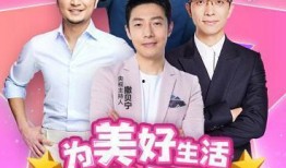 央视4套在线直播观看,带你领略多元文化魅力