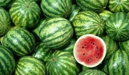 杭州吃瓜网红事件,网络舆论的风暴与反思