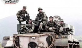 战狼2中文版在线观看,燃情热血，震撼视听的国产军事巨制在线放送！