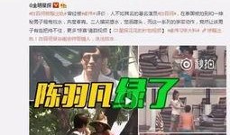 何雨欣前夫爆料了吗视频,揭秘背后真相