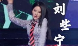 刘些宁首唱会爆料视频,幕后故事与音乐旅程