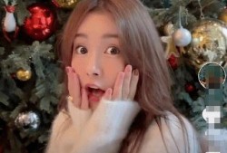 陈赫爆料儿子视频大全