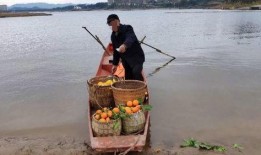 网友爆料渔船视频在线观看,渔船惊险瞬间，海上求生实况视频引关注