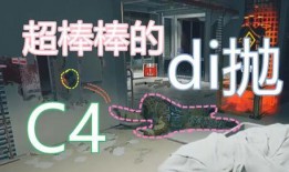 日常爆料娱乐活动,明星们的日常娱乐生活大揭秘