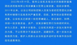 新闻爆料公众号视频下载,视频下载背后的秘密
