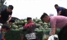 礼县吃瓜网红事件视频曝光,视频曝光引发网友热议