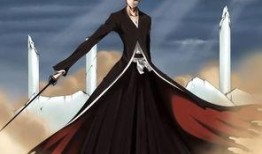 死神动漫高清在线观看,重温热血传奇，探索灵魂奥秘！