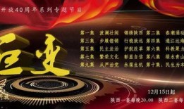 陕西一套在线观看,在线观看一网打尽