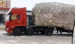 爆料卡车夫妻视频播放,温馨日常引网友热议