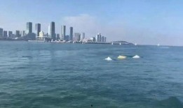 厦门海域爆料事件始末最新消息,最新进展与始末回顾